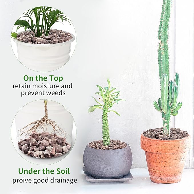 10 lbs Pebbles for Plants, 3/8 Inch Pea Gravel Stones Decorative Red River Rocks for Succulent, Cactus, Landscaping, Vases, Terrarium, Aquarium, Potted Top Dressing and Outdoor Garden-PurrikoPets