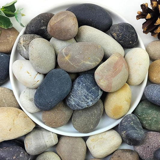40lbs Natural River Rocks, 1-2" Premium Pebbles for Garden and Landscape Design, Hand-Picked Smooth Stones for Fish Tank, Flower Pots, Indoor Water Fountains, Pathways, Backyard-PurrikoPets