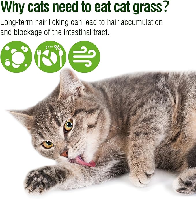 225g Cat Grass Teething Stick, Delicious Cat Treat Snack Edible Cat Chew Toy for Teeth Cleaning and Hairball Removal in Cats-PurrikoPets