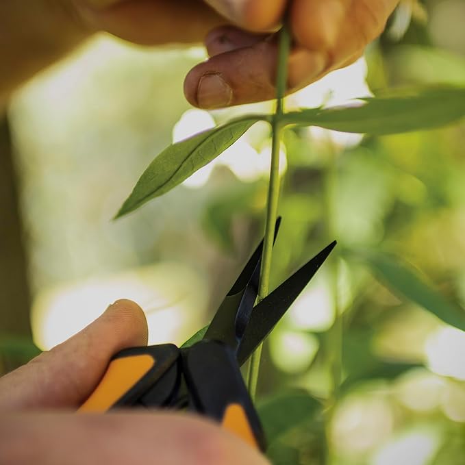 Fiskars 6" Pruning Scissors (2-Pack) for Flowers, Buds, Weeds and Small Plants, Garden Snips with Resin Resistant Nonstick Stainless Steel Blades, Gardening Trimmers with Comfortable Handle-PurrikoPets