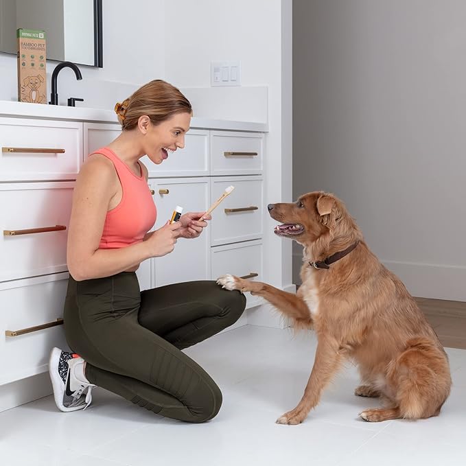 Dog Toothbrush I 4-Pack Two Sided Bamboo Toothbrush for Small and Large Dogs & Cats I Soft Bristles Gentle for Easy Dog Teeth Brushing & Dental Care-PurrikoPets