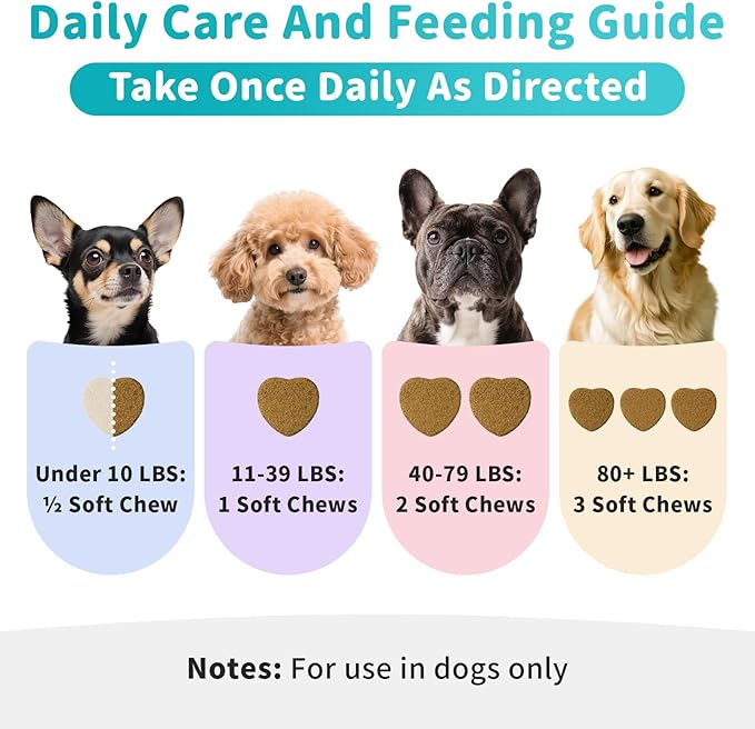 Dog Skin & Allergy Chews - Dog Probiotics for Sensitive Skin Health Support - Allergy Relief - Support Seasonal Allergies, Immune & Gut & Digestive Health Supplement - Beef Flavor - 90 Count-PurrikoPets