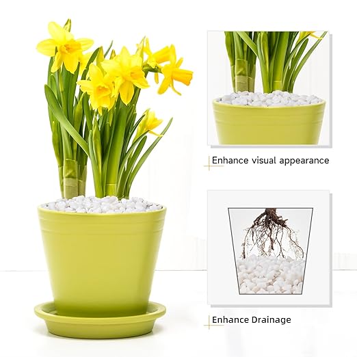 5 lbs White Aquarium Gravel, 1/5 Inch White Rocks for Plants, Small Pebbles for Vases, Succulents, Bamboo, Natural Decorative Pebbles for Plants Drainage, Cactus, Crafts-PurrikoPets