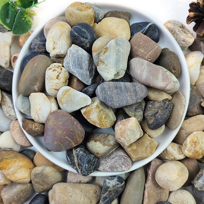 2lbs Aquarium Rocks, 5/8" Natural Mixed Pebbles for Plants Decorative Polished River Rocks for Fish Tank, Landscaping, Gardening, Flower Pots, Vase Fillers, Indoor Water Fountains,-PurrikoPets