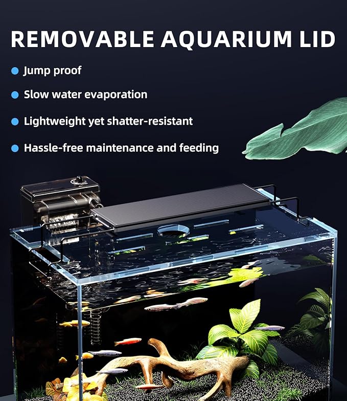 5 Gallon Fish Tank Aquarium Kit with Filter, LED Light with Timer, Siphon Vacuum Cleaner, Lid, Self-Cleaning Glass Rimless Betta Tank-PurrikoPets