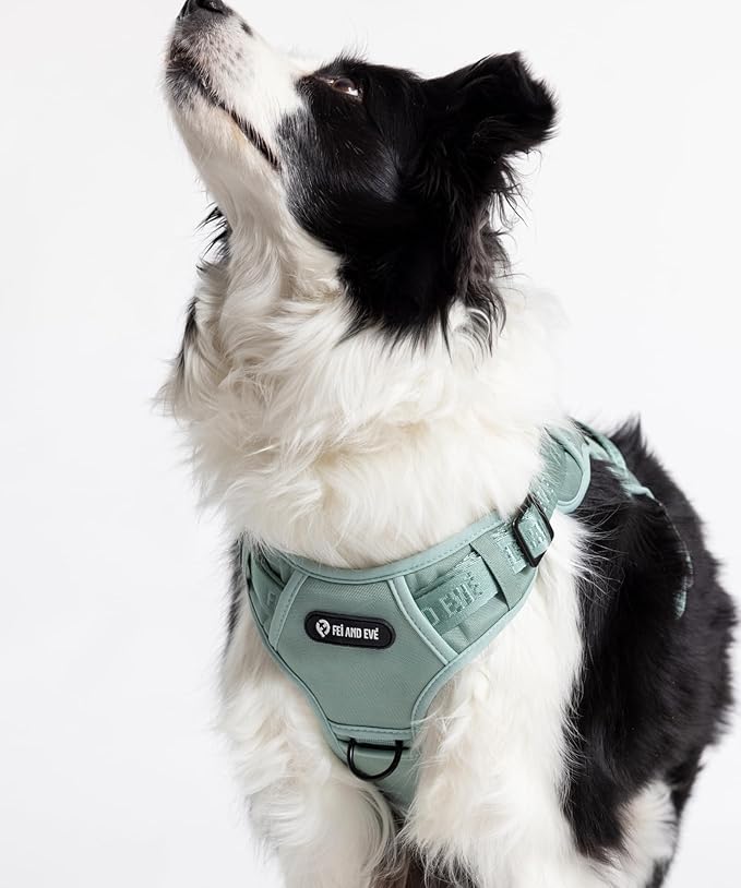 2025 New Edition, Fei & Eve MagEase Dog Harness - 3-Second Magnetic Buckles | 3-Point No-Pull Control | Heavy-Duty 900D Nylon | Dual Safety Handles | Breathable Mesh | Adjustable Fit | X-Large, Green-PurrikoPets