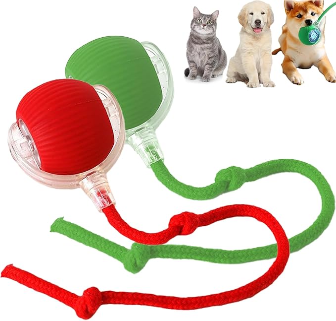 2 Packs Interactive Cat Toy Ball for Indoor Cats - 3-Speed Smart Rolling Ball with Flashing Lights, USB Rechargeable Automatic Motion Kitten Toys for Bored Adult Cats & Playful Kittens-PurrikoPets