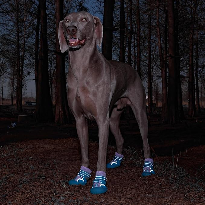 Dog Shoes, Waterproof Dog Boots & Paw Protectors with Anti-Slip Sole, 4pcs/Set Pet Dog Booties, Reflective Dog Shoes for Small Medium Large, Winter Snowy Summer Hot Pavement (Blue, 5# (M))-PurrikoPets