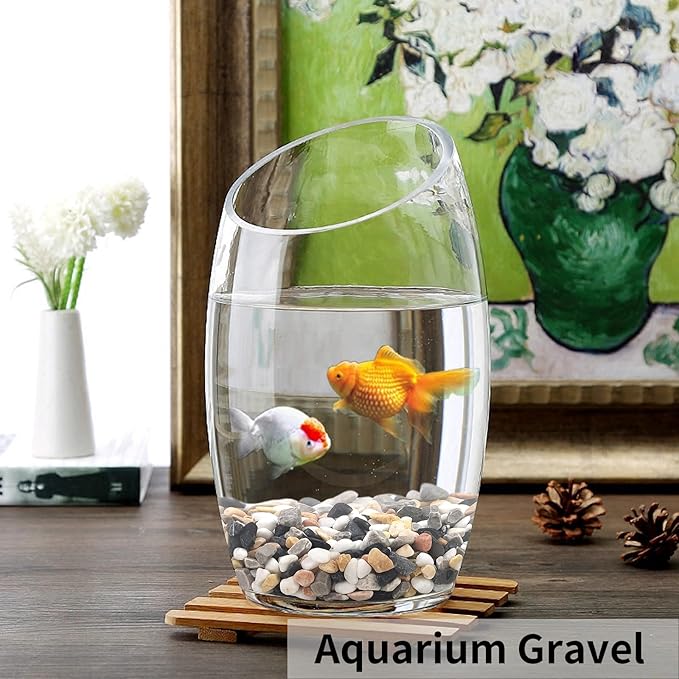 5 lbs Succulent and Cactus Pebbles for Indoor Plants, 3/8 Inch Pea Gravel Decorative River Rocks for Plants, Vases, Terrarium, Aquarium, Potted Top Dressing and Outdoor Landscaping Stones-PurrikoPets