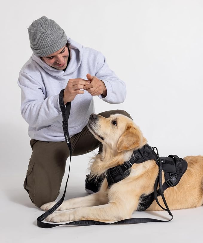 2025 New Edition, Fei & Eve MagEase Dog Harness - 3-Second Magnetic Buckles | 3-Point No-Pull Control | Heavy-Duty 900D Nylon | Dual Safety Handles | Breathable Mesh | Adjustable Fit | Small, Black-PurrikoPets