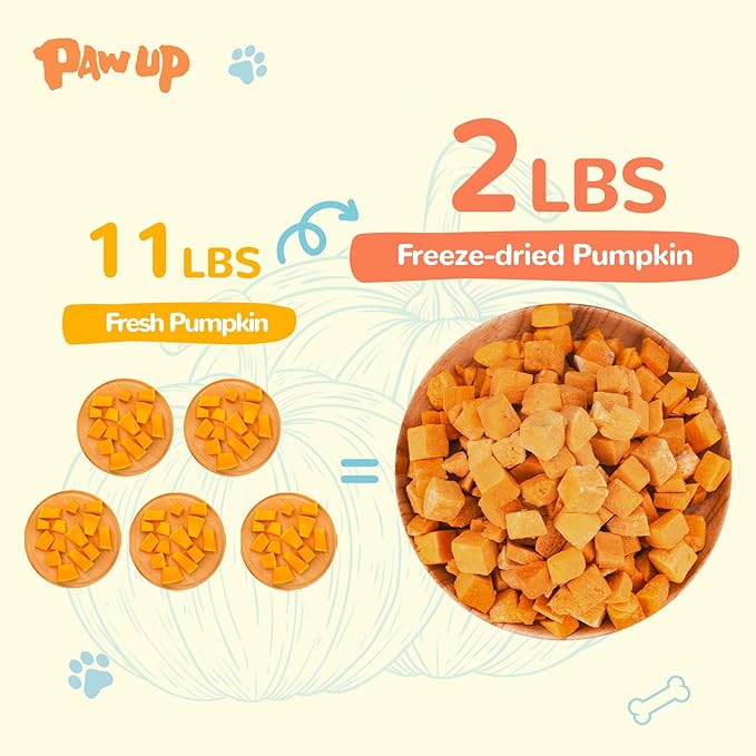 Freeze-Dried Pumpkin Treats for Dogs & Cats – High Fiber, Single Ingredient Natural Snacks for Digestion & Gut Health, Healthy Food Toppers, 1.58 oz-PurrikoPets