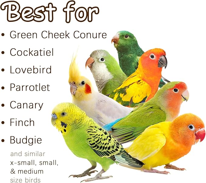 5-Pack Natural Hanging Basket Bird Toys – Foraging & Chewing Toys for Parakeets, Cockatiels, Conures & Small Birds – No Plastic, All-Natural Materials-PurrikoPets