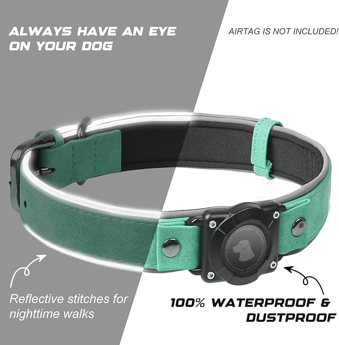 AirTag Dog Collar - Leather Dog Collar with Air Tag Holder | IPX8 Waterproof, Reflective, High - End, Adjustable Soft Padded | Dog GPS Tracker Collars Fit for Medium Large Dogs (Teal, M)-PurrikoPets
