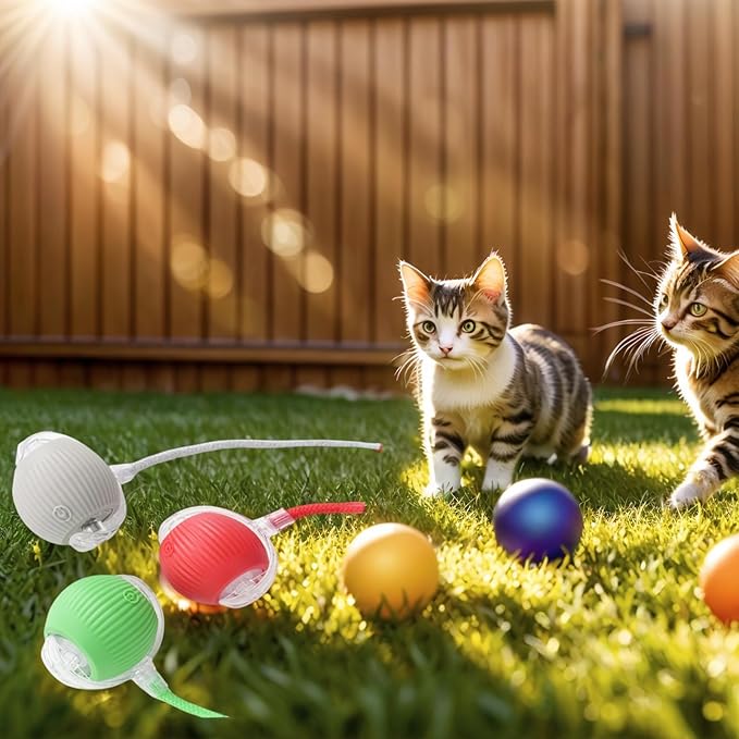 Electric Cat Toy - Automatic Rolling cat Toy with Motion sensors, Designed for Indoor Cats, Suitable for Solo Play (USB Rechargeable) (Greener)-PurrikoPets