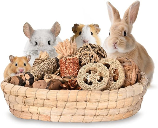 31PCS Rabbit Chew Treat Toys for Teeth Health, Natural Bunny Enrichment Toys for Boredom & Stress Relief, Keep Busy Toys for Guinea Pig Chinchilla Hamster Rat Gerbil Degu Indoor Outdoor-PurrikoPets