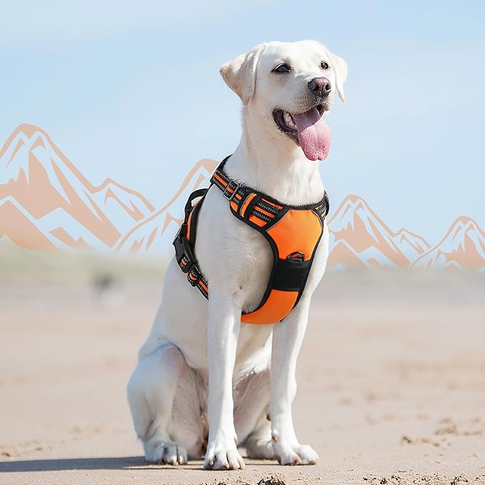 Eagloo Dog Harness for Large Dogs, No Pull Service Vest with Reflective Strips and Control Handle, Adjustable and Comfortable for Walking, No Choke Pet Harness with 2 Metal Rings, Orange, L-PurrikoPets