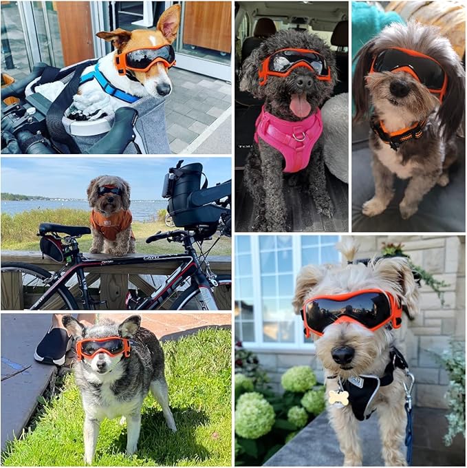 Dog Goggles Dog Sunglasses for Medium Breed UV Protection Windproof with Adjustable Head Straps Chin Straps for Ride Car/Hiking Travel/On Beach-Orange-PurrikoPets