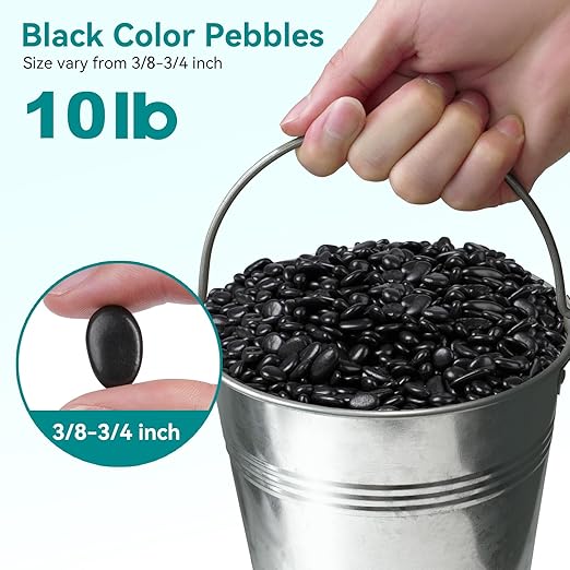 10 lbs Black Pebbles for Indoor Plants, 3/8" Small Rocks for Plants Indoor, Succulent, Bamboo, Vase, Decorative Black River Rocks Pea Gravel, Highly Polished-PurrikoPets