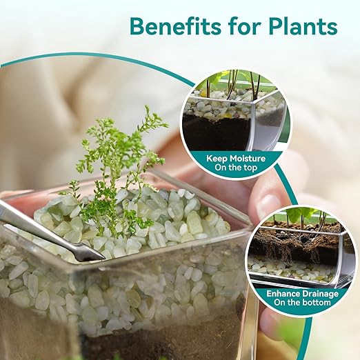 2.5 lbs Jade Pebbles for Indoor Plants, 1/5 Inch Succulent and Cactus Pebbles, Decorative Gravel for Vases, Bamboo,Terrarium, Crafts, Cactus-PurrikoPets