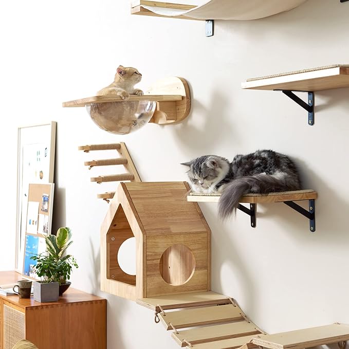 FUKUMARU Cat Wall Furniture Set, Transparent Capsule Kitten Walls Shelves with 2 PCS Pedals - Premium Kitty Bed for Sleeping, Playing, Climbing, and Lounging - Easily Holds Up to 35 Lbs-PurrikoPets