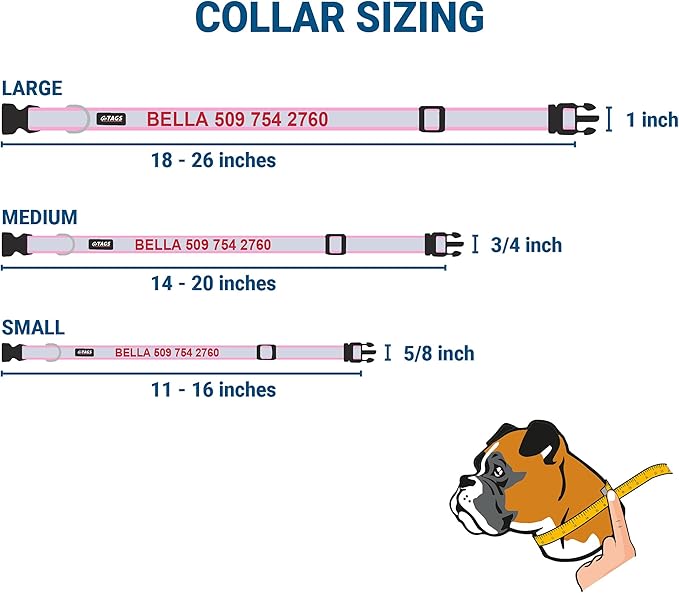 GoTags Reflective Personalized Dog Collar with Nameplate, Adjustable Dog Collar with Custom Engraved Steel Slide On Pet ID Tag, Silent, No Noise Dog Tag for Large Medium or Small (Pink, Large)-PurrikoPets