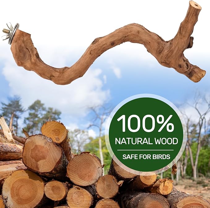 4-Piece Bird Perch Set with Rotating Ball Stand - Natural Wood Bird Gym & Playground for Parrots, Cockatiels, Budgies-PurrikoPets