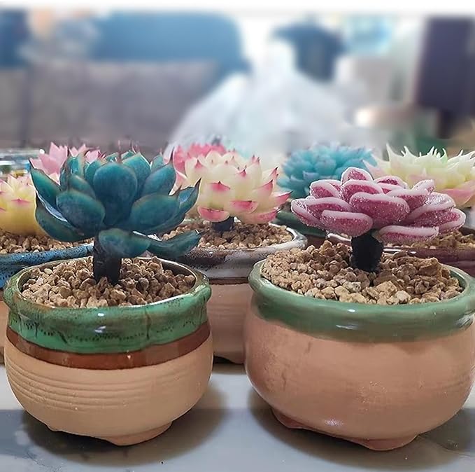 5 lbs Maifanitum Stones for Succulent,1/4 Inch Decorative Rocks for Indoor Plants, Bonsai, Soil Cover. Small Stones for Promote Soil Root Growth, Water Drainage and Plant Growth(5-8 mm)-PurrikoPets