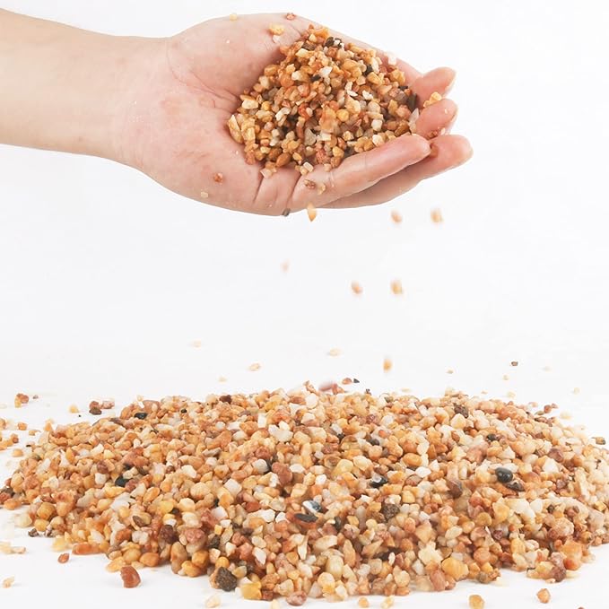 3lb Cactus Pea Gravel Rocks,1/5 Inch Pebbles for Indoor Plants, Natural Succulent Rock and River Rocks Decorative for Aquariums, Vases, Terrarium, Outdoor Gardening, Top Dressing for Potted Plants-PurrikoPets