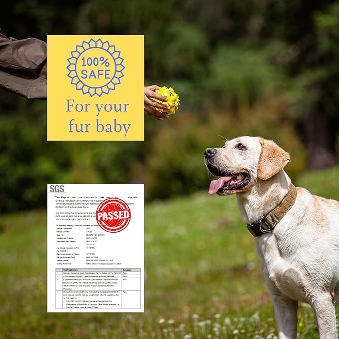 Durable Interactive Dog Toys for Aggressive Chewers,Puppy Teething Toys,Floating Fetch Balls,Bouncing Chew Balls,Tennis Balls for Dogs (2 Balls)-PurrikoPets