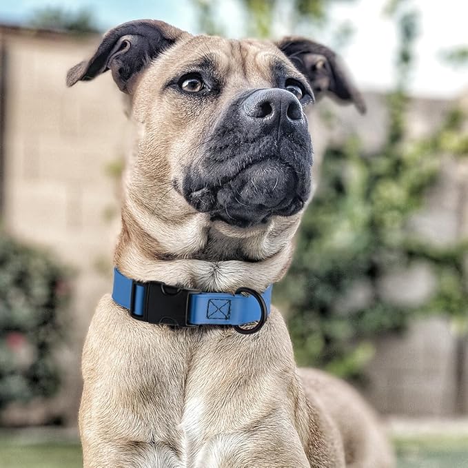 Dogline Biothane Waterproof Dog Collar with Quick Release Buckle Strong Coated Nylon Webbing with Odor- Proof for Easy Care Easy to Clean Fits Small Medium Large Dogs, Dogline Blue 5/8" W 9-14" L-PurrikoPets