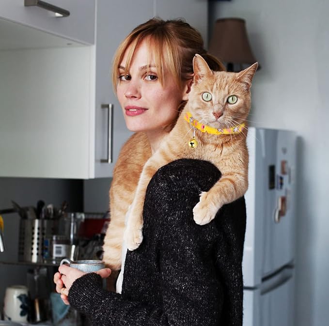 16 PCS Cute Cat Collars Breakaway with Bell for Boy Cats and Girl Cats Gifts-PurrikoPets