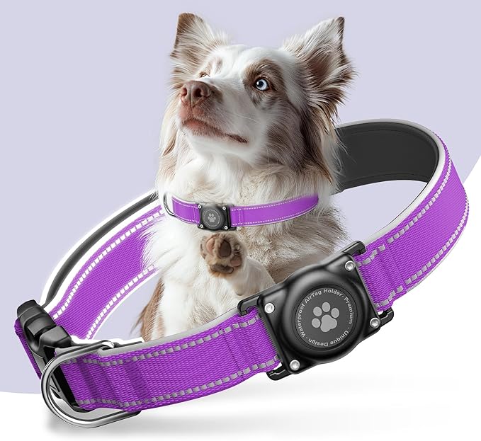 Airtag Dog Collar - 100% Waterproof Air tag Dog Collar Holder for Apple AirTag, Reflective, Soft Padded, Everlasting, GPS Dog Collar for Small Medium Large Dogs (Purple, L)-PurrikoPets