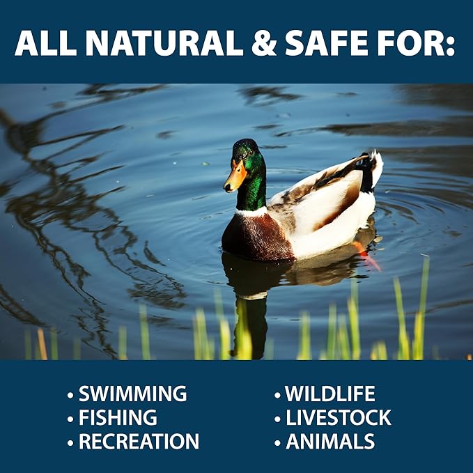 Airmax PondClear Packets, Beneficial Bacteria & Enzyme Clarifier Treatment with Ecoboost PRx, Clear & Clean Pond & Lake Water, Safe for Fish, 24 Count-PurrikoPets