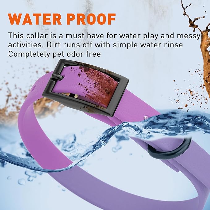 Dogline Biothane Waterproof Dog Collar Strong Coated Nylon Webbing with Black Hardware Odor- Proof for Easy Care Easy to Clean High Performance Fits Small Medium or Large Dogs, Amethyst Purple-PurrikoPets