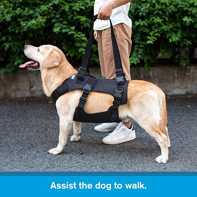Dog Lift Harness, Rehabilitation Lifts Vest for Dogs, Support & Recovery Sling, Adjustable Breathable Lifting Straps for Old, Joint Injuries, Arthritis, Paralysis Dogs Walk (S, Black)-PurrikoPets