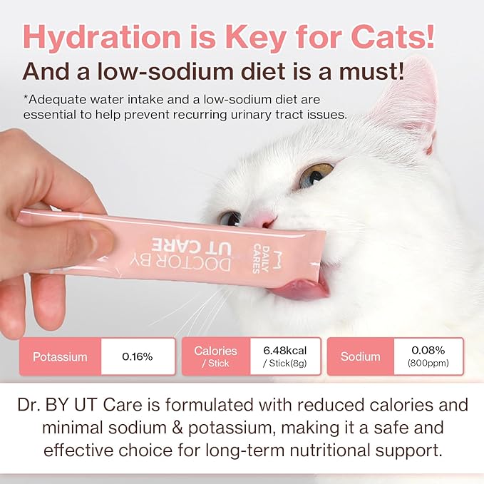 Dr.by UT Care Cat UTI Kidney Support Urinary Supplement Cranberry Treatment for Cats Renal Health with Pacran, Quercetin, Taurine lickable Formula Individually Packaged (1 Pack)-PurrikoPets