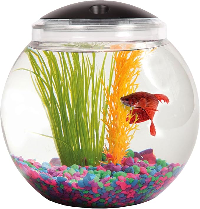 1-Gallon Globe Fish Tank with LED Lighting (7 Color Selections), Impact-Resistant Plastic-PurrikoPets