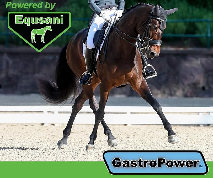 GastroPower Digestible Free Fatty Acid Feed Concentrate for Horses-PurrikoPets