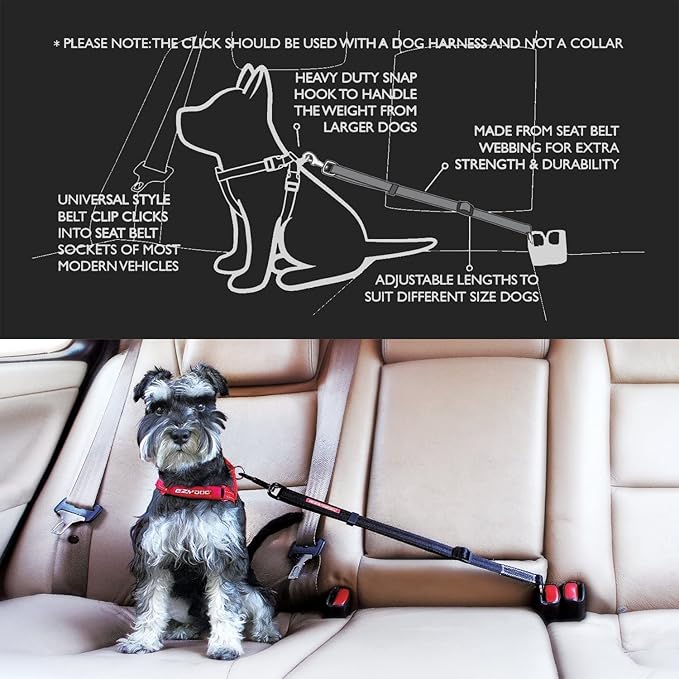 EzyDog CLICK – Dog Seat Belt for Car, Dog Harness Adjustable Seatbelt Attachment – Heavy Duty Nylon Seat Belt Webbing (17.5in - 26in)-PurrikoPets