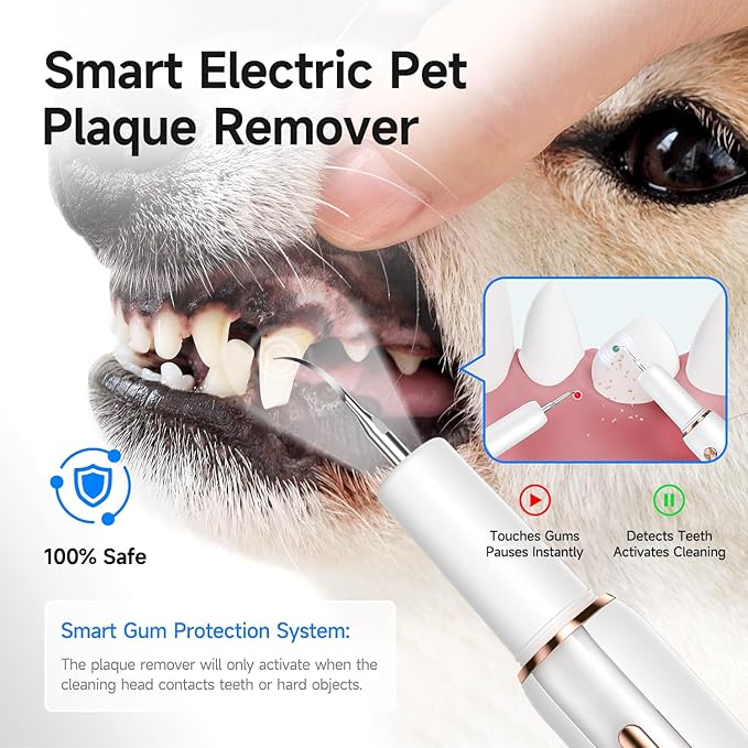 Electric Dog Plaque & Tartar Remover - Pet Teeth Cleaning Kit with LED Light, 5 Adjustable Modes, Safe and Low Noise – Easy Home Dental Care for Dogs and Cats-PurrikoPets