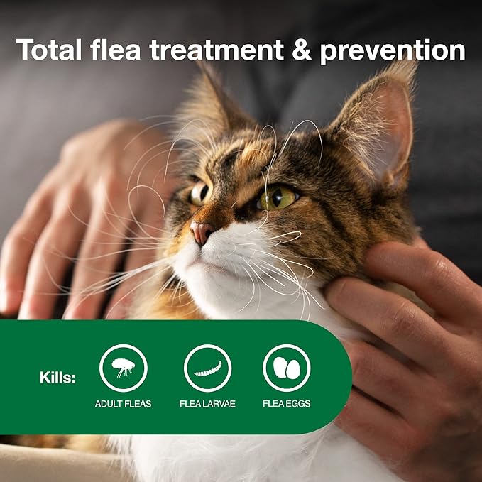 Advantage II Large Cat Vet-Recommended Flea Treatment & Prevention | Cats Over 9 lbs. | 1-Month Supply-PurrikoPets