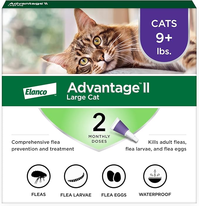 Advantage II Large Cat Vet-Recommended Flea Treatment & Prevention | Cats Over 9 lbs. | 2-Month Supply-PurrikoPets