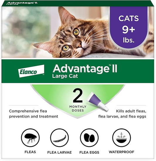 Advantage II Large Cat Vet-Recommended Flea Treatment & Prevention | Cats Over 9 lbs. | 2-Month Supply-PurrikoPets