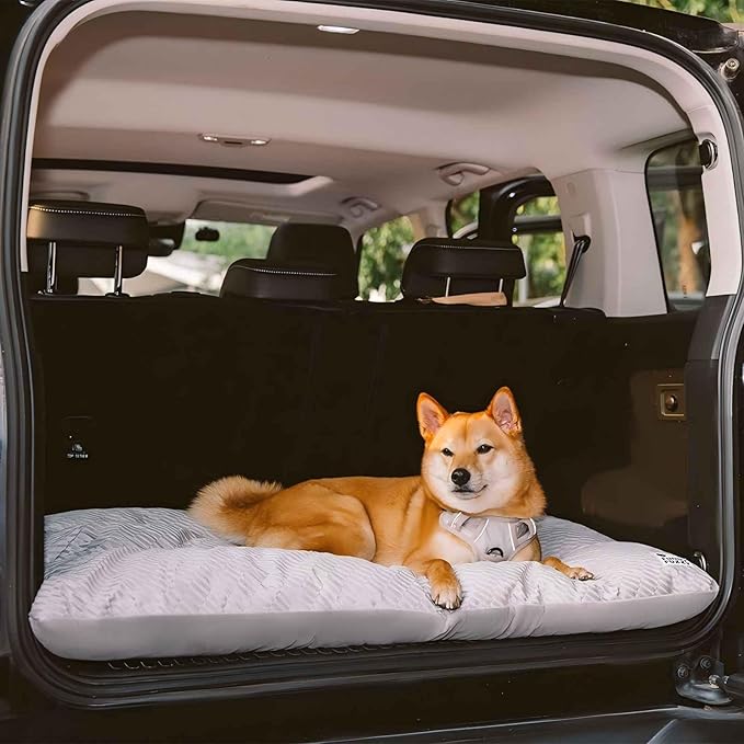 FUNNY FUZZY Washable Dog Bed,Reversible Plush Dog Crate Mat, Soft Fluffy Kennel Pad,Pet Sleeping Mattress for Large,Jumbo,Medium Sized Dogs Breeds,Indoor Cats,41.7" × 28.3", Light Grey-PurrikoPets