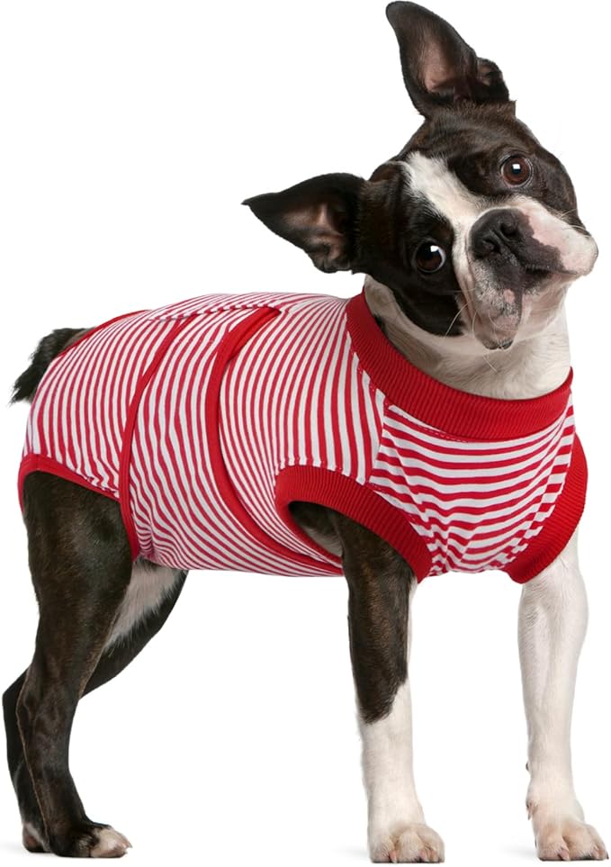 FUAMEY Dog Recovery Suit Male,Dogs Surgery Neuter Suits Puppy Spay Shirts for Female Protect Dog's Skin Anti Licking Abdominal Wounds Doggie Onesie Pet Bodysuit Alternative to Cone Red Stripes L-PurrikoPets