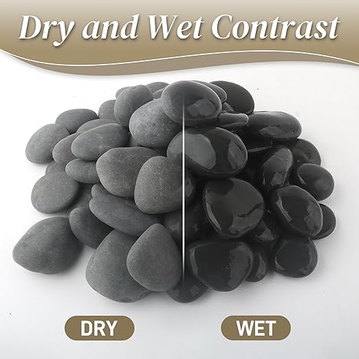 5 lbs Natural Mexican Beach Pebbles, 1-2 Inch Large River Rocks for Plants and Landscaping, Decorative Stone for Fish Tank Aquarium Fountain Garden Paving Walkways Pathways Backyard, Grey-PurrikoPets