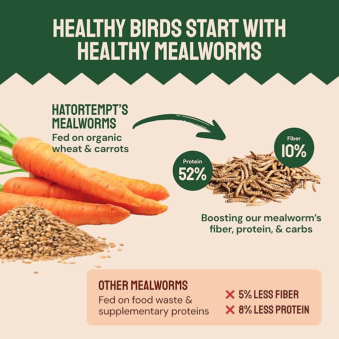 Dried Mealworms - 2 Lb Bag - High Protein Chicken Feed, Mealworms for Birds & Chickens - Meal Worms for Wild Birds & Turtles-PurrikoPets
