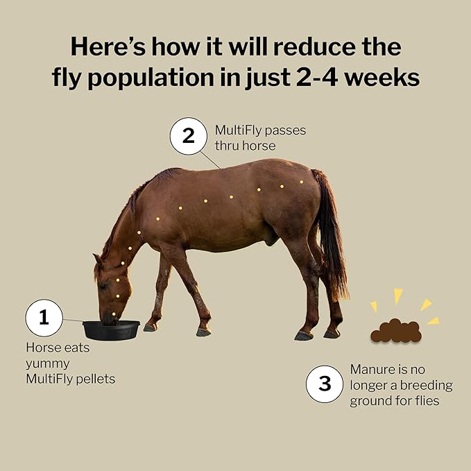 Formula 707 MultiFly Feed-Thru Fly Control Pellets for Horses - Palatable & Safe Fly Population Reduction (5 lb Bag - 91 Servings)-PurrikoPets