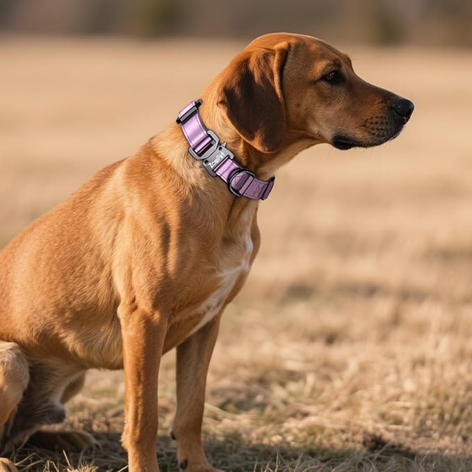 AirTag Dog Collar - Leather Dog Collar with Airtag Holder | IP68 Waterproof AirTag Holder with Metal Buckle, Comfortable GPS Dog Collars Tracker for Medium Large Dogs (Rose Gold, L)-PurrikoPets