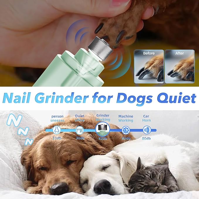 2 in 1 Dog Nail Clippers and Grinder with Lights & Cat Nail Clipper for Large Medium Small Dogs Cats Nail Trimmers USB Rechargeable with 2 LED Lights Dog Claw Care for Non-Black Nails-PurrikoPets